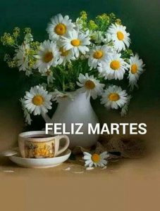 Frases De Bonito Martes Para Descargar Gratis