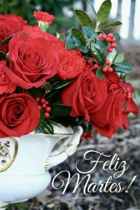 Frases De Bonito Martes para celular