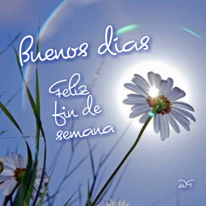 Frases De Buen Inicio De Semana Amor Para Whatsapp Celular