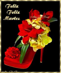 Frases de buen martes
