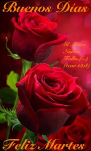 Frases De Buenos Dias Feliz Martes Para Descargar Gratis para celular