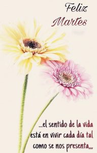 Frases De Buenos Dias Martes para celular