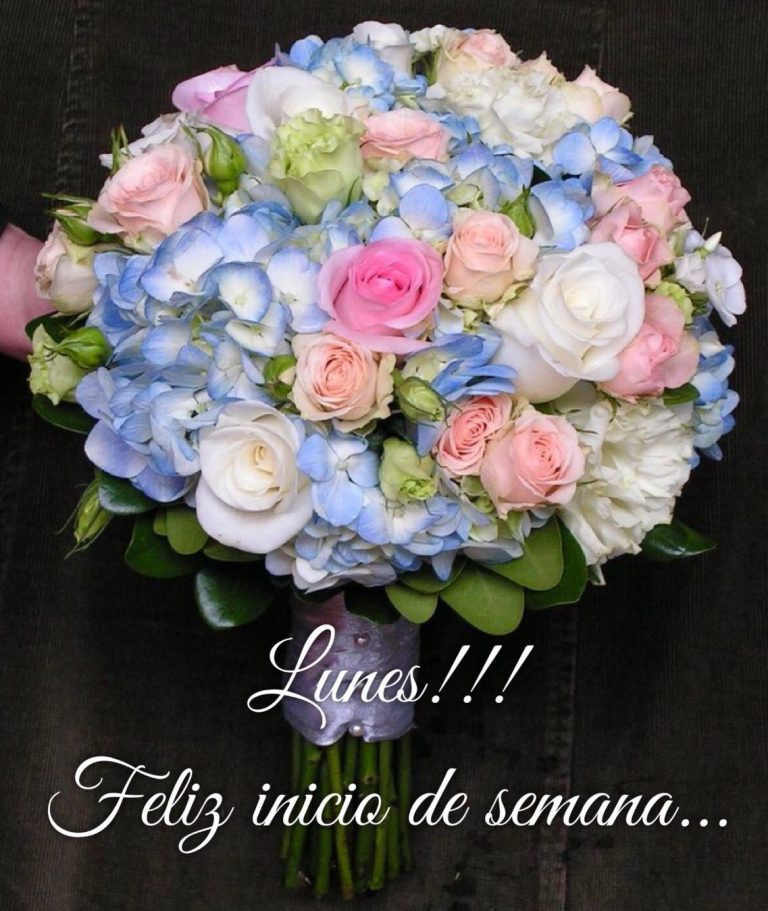 Frases De Buenos Dias Y Feliz Inicio De Semana Para Whatsapp Celular