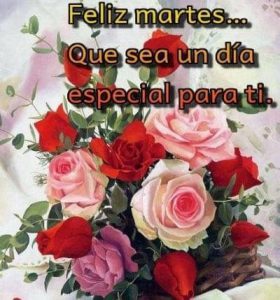 Frases de buenos días martes para WhatsApp gratis