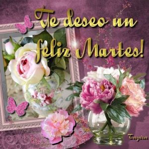 Frases de buenos días martes para celular