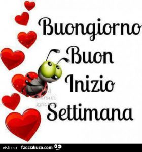 Frases De Feliz Inicio De Semana Mi Amor