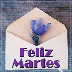 Frases De Feliz Martes Amor para celular