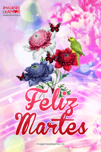 Frases de feliz martes para WhatsApp gratis