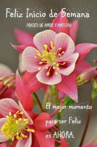 Frases De Inicio De Semana Bonitas