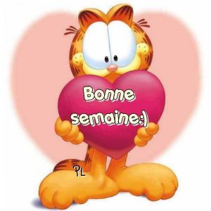 Frases De Inicio De Semana Cortas