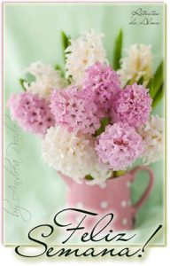 Frases De Inicio De Semana Motivadoras Para Whatsapp Celular