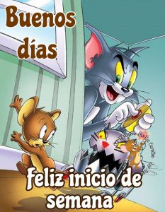 Frases De Inicio De Semana Para Mi Amor Para Whatsapp Celular