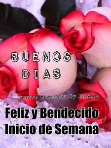 Frases inicio de semana amor