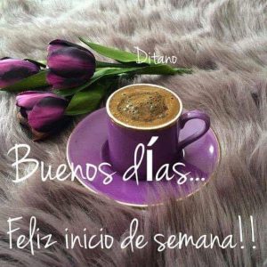 Frases Inicio De Semana Laboral Para Whatsapp Celular