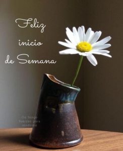 Frases Lindas Para Inicio De Semana Para Whatsapp Celular