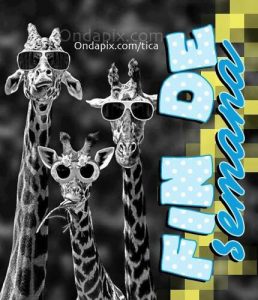 Frases Motivacionales De Inicio De Semana Para Whatsapp Celular