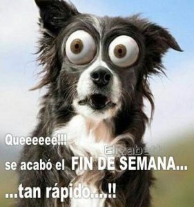 Frases Motivadoras De Inicio De Semana