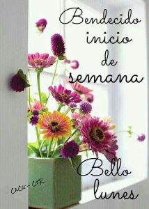 Frases Motivadoras Inicio De Semana