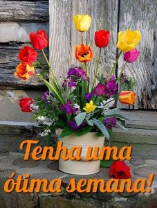 Frases Motivadoras Para Inicio De Semana