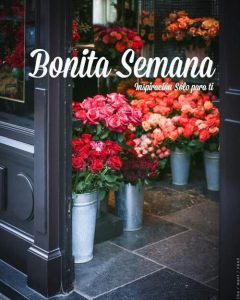 Frases Para El Inicio De Semana Para Whatsapp Celular