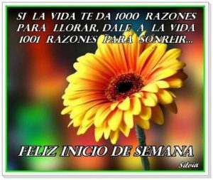 Frases Para El Lunes Inicio De Semana Para Whatsapp Celular