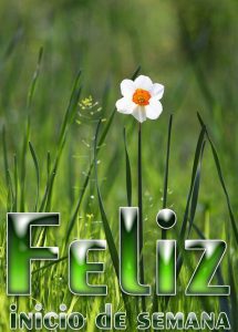 Frases Para Hoy Lunes Inicio De Semana Para Whatsapp Celular