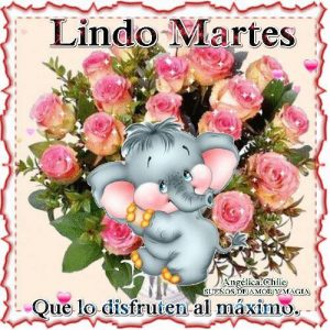 Frases Para Los Dias Martes Para Descargar Gratis para celular