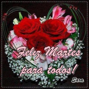 Frases Para Los Dias Martes para celular