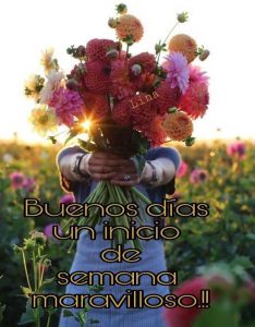 Frases para lunes inicio de semana para WhatsApp celular