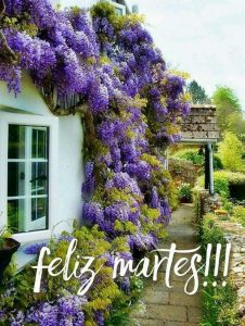 Frases Para Martes Graciosas Para Descargar Gratis para celular