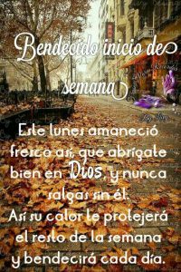 Frases Para Un Buen Inicio De Semana Para Whatsapp Celular