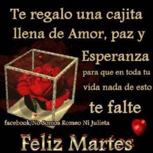 Frases Para Un Buen Martes