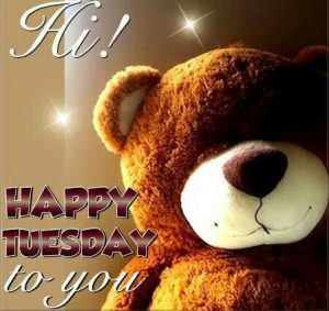 Frases Para Un Dia Martes