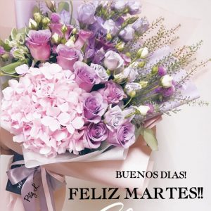 Frases Para Un Dia Martes Para Whatsapp Gratis para celular