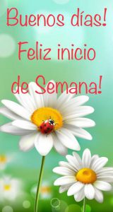 Frases Positivas De Inicio De Semana