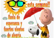 Photo of Frases Positivas De Inicio De Semana Para Whatsapp Celular