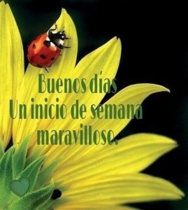 Frases Sobre Inicio De Semana