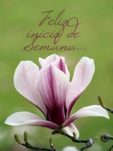 Gran Inicio De Semana Para Descargar