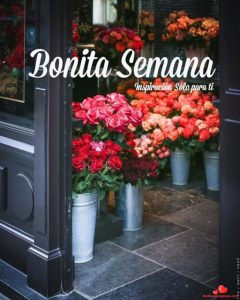 Imagen De Buenos Dias Feliz Inicio De Semana Para Whatsapp Celular