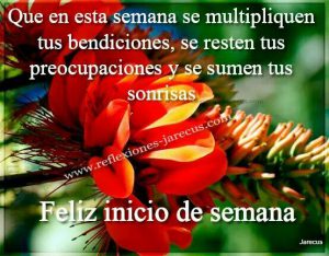 Imagenes Animadas De Feliz Inicio De Semana