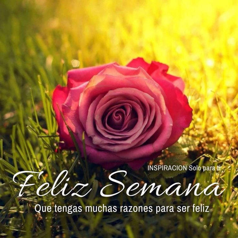 Imagenes Bonitas De Feliz Inicio De Semana Para Whatsapp Celular
