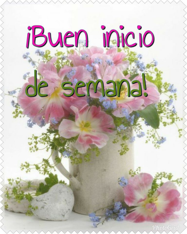 Imagenes Chistosas De Inicio De Semana