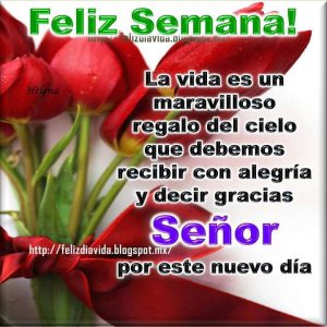 Imagenes Chistosas De Inicio De Semana Para Whatsapp Celular