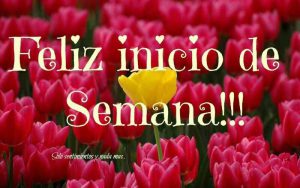 Imagenes Con Frases De Feliz Inicio De Semana Para Whatsapp Celular