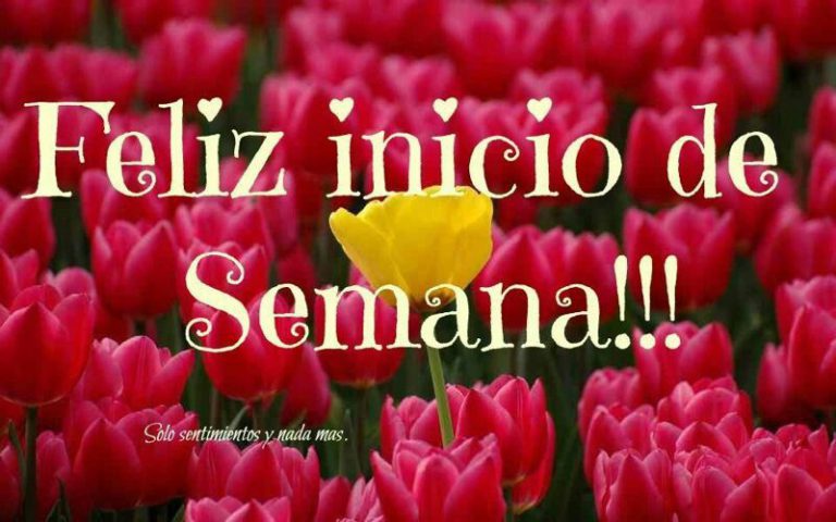 Imagenes Con Frases De Feliz Inicio De Semana Para Whatsapp Celular