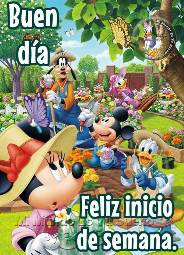 Imagenes Con Frases De Inicio De Semana