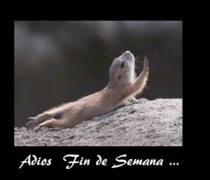 Imagenes Cristianas De Buen Inicio De Semana