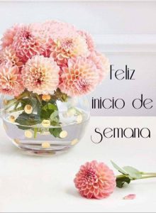 Imagenes Cristianas Feliz Inicio De Semana Para Whatsapp Celular