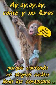 Imágenes d inicio d semana
