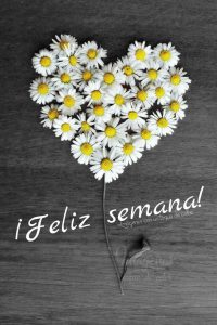 Imagenes De Buenos Dias Inicio De Semana Con Movimiento